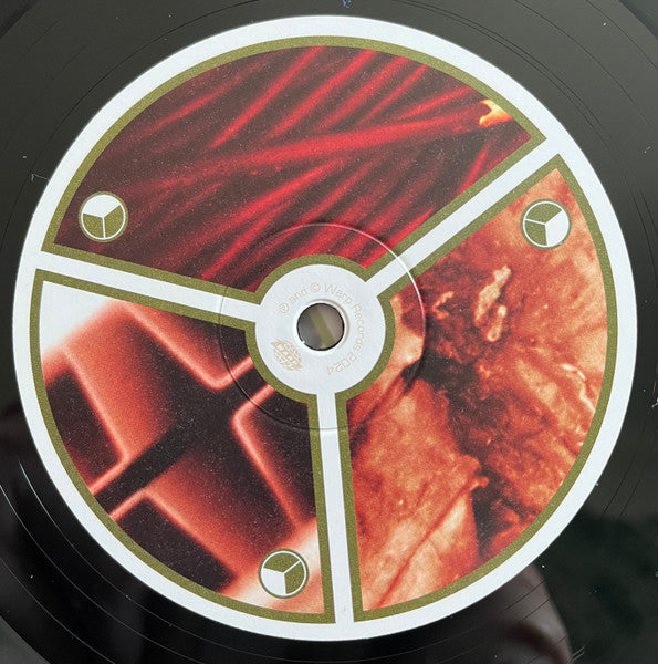 Aphex Twin : Selected Ambient Works Volume II (LP,Album,Bioplastic,Reissue,Remastered,Stereo)