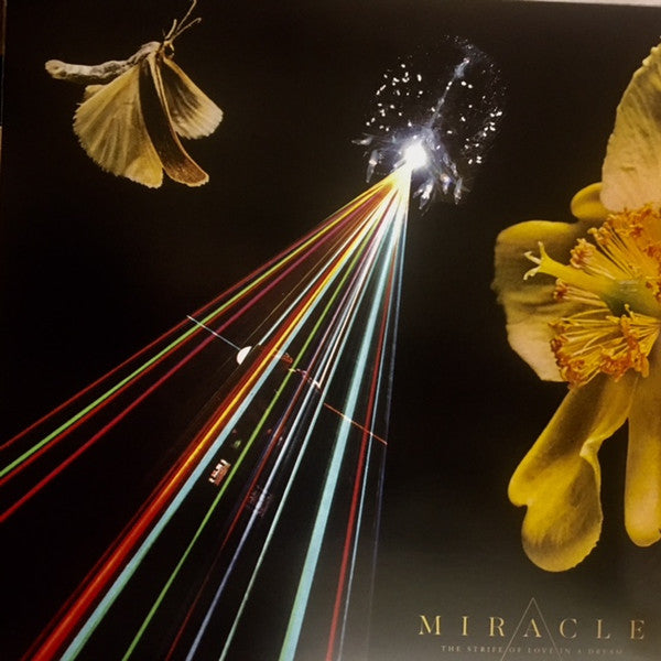 Miracle (11) : The Strife Of Love In A Dream (LP,Album)