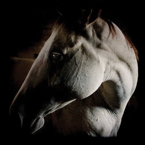 Brother Dege : How To Kill A Horse (LP,Album,Record Store Day,Limited Edition,Reissue)
